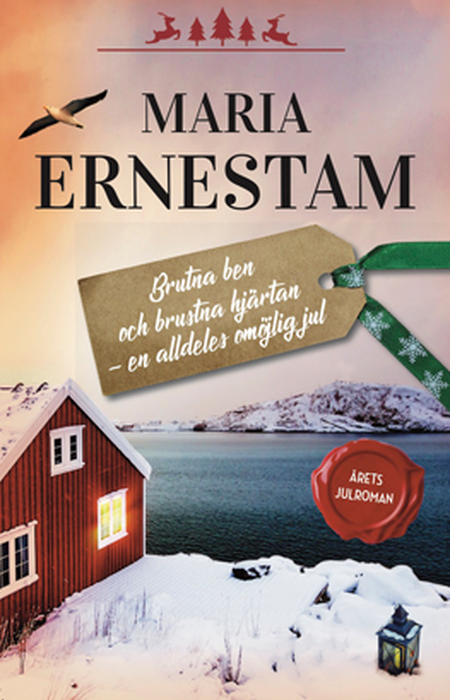 Book cover Brutna Ben Och Brustna Hjärtan