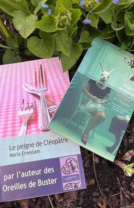 Book cover Le Peigne de Cléopâtre