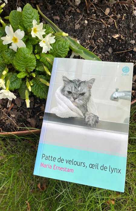 Book cover Patte de velours, œil de lynx