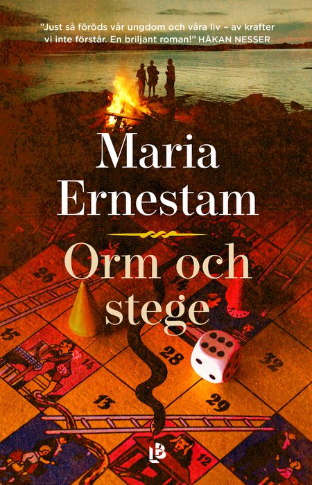 Book cover Orm och stege