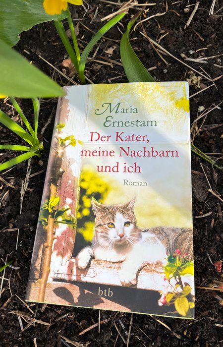 Book cover Der Kater, meine Nachbarn und ich