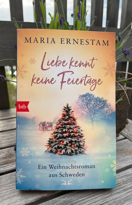 Book cover Liebe kennt keine Feiertage